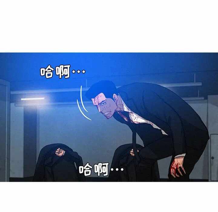 第43张