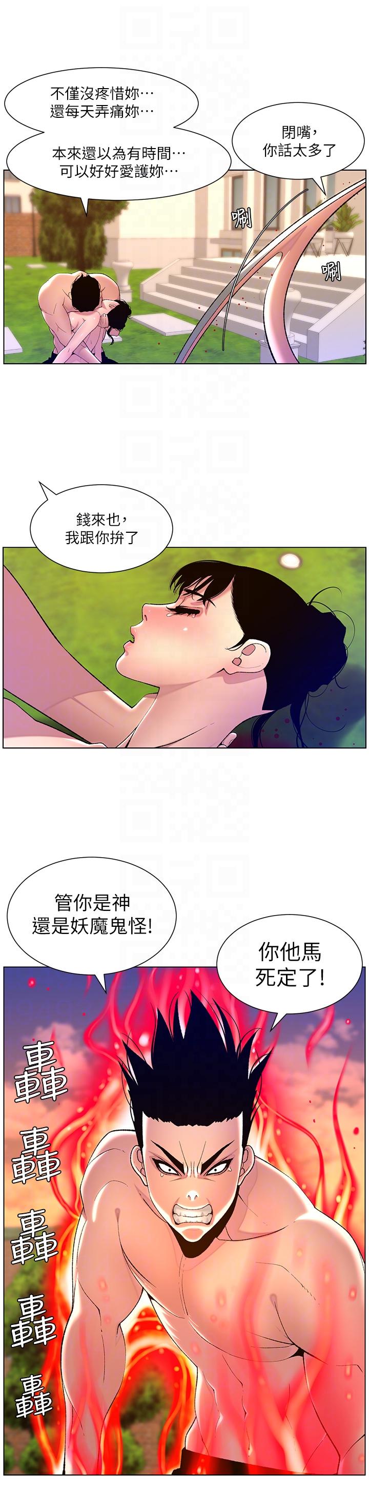 第24张