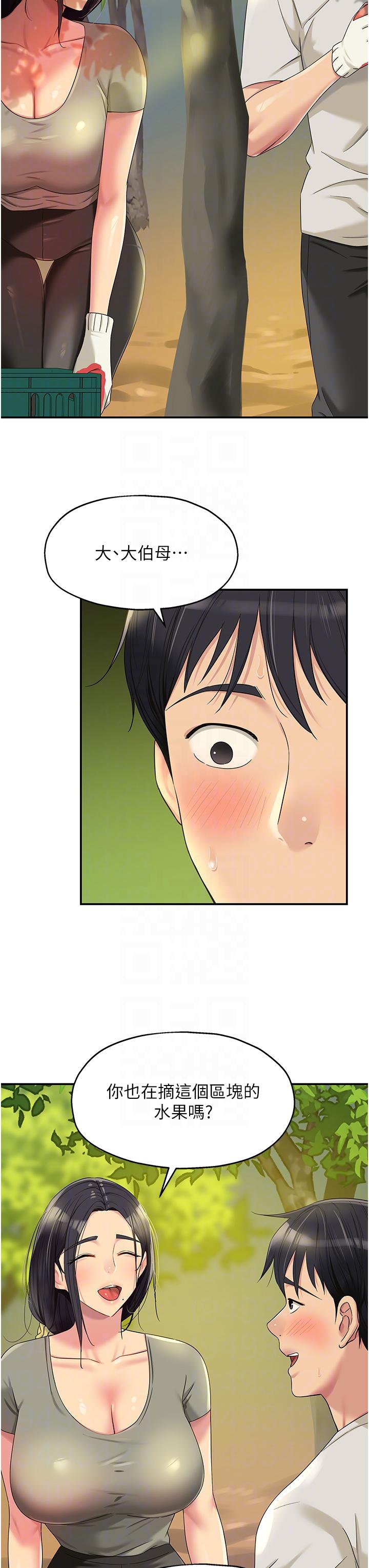 第24张