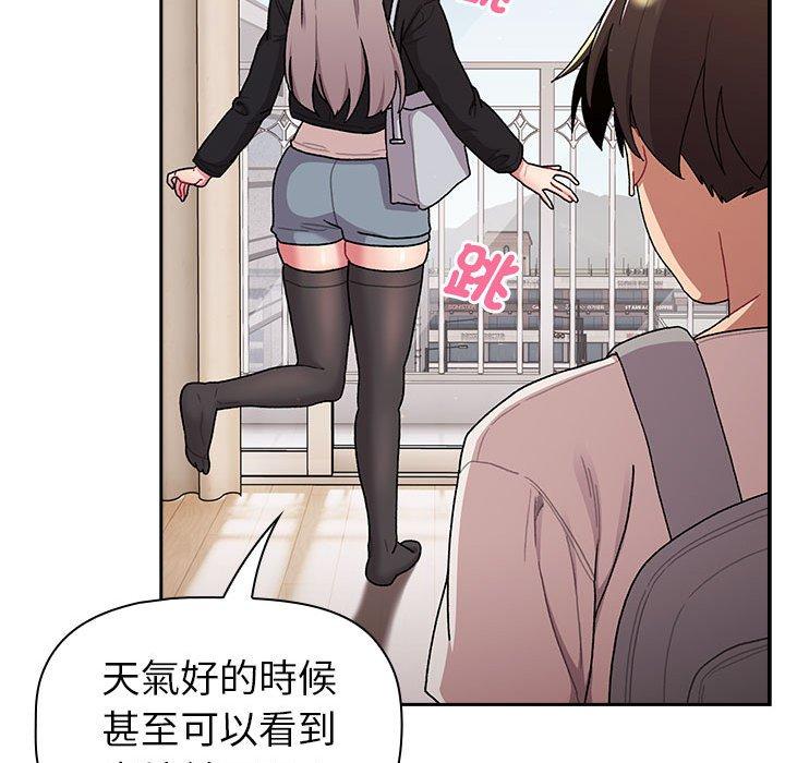 第17张