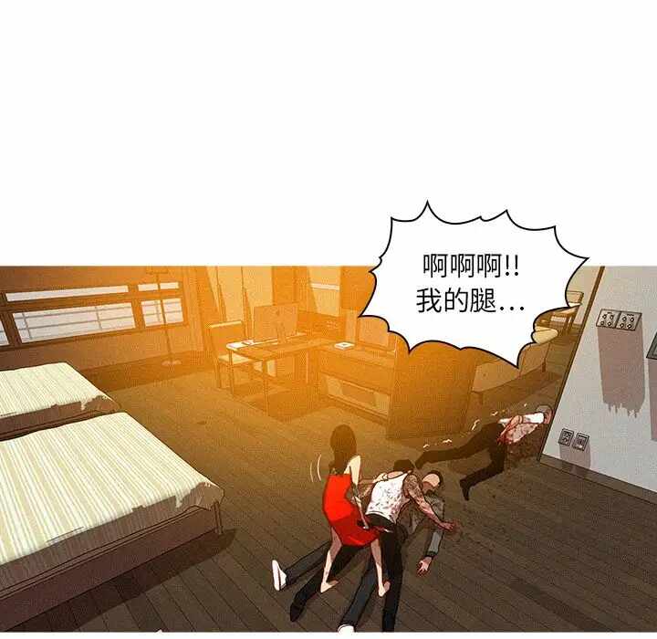第47张