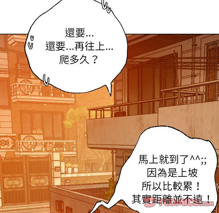 第3张
