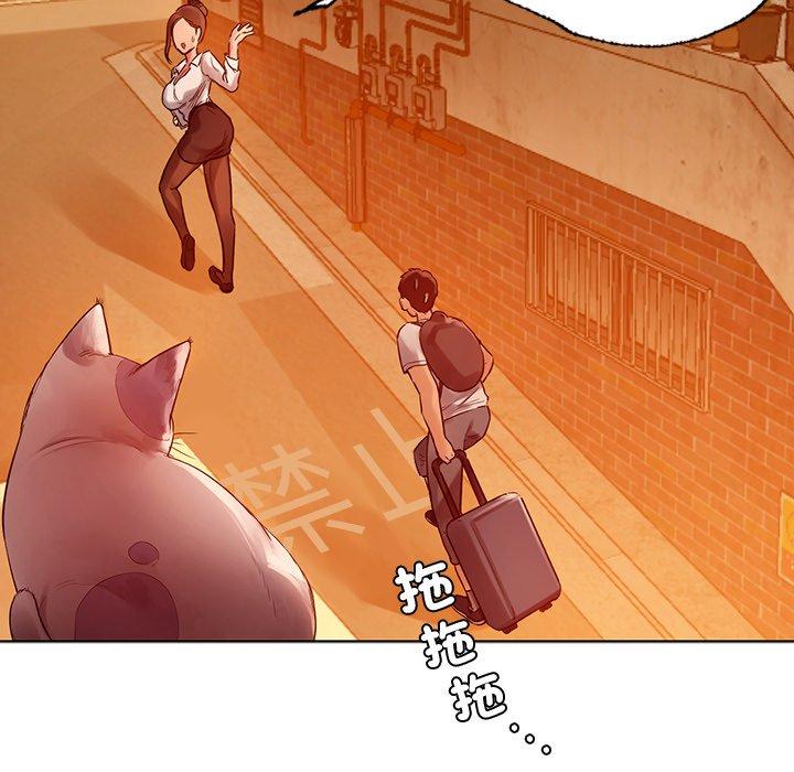 第5张