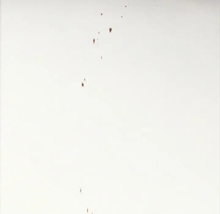 第137张