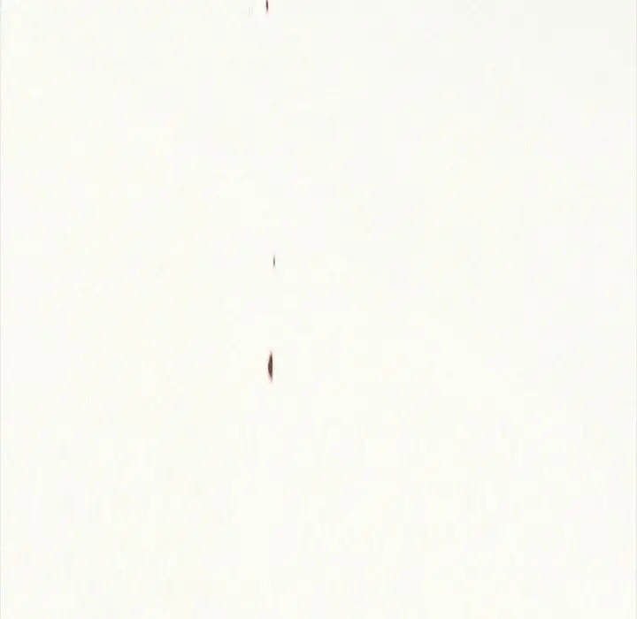 第138张