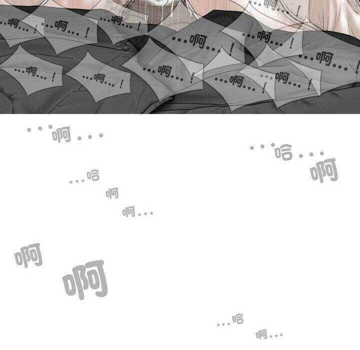 第81张