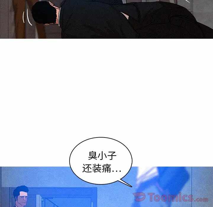 第52张