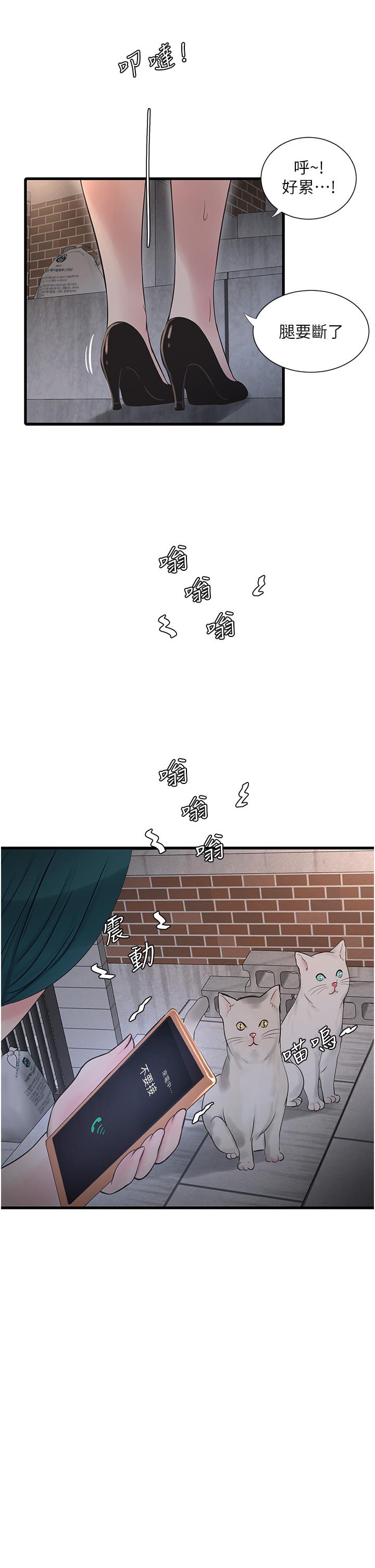 第23张