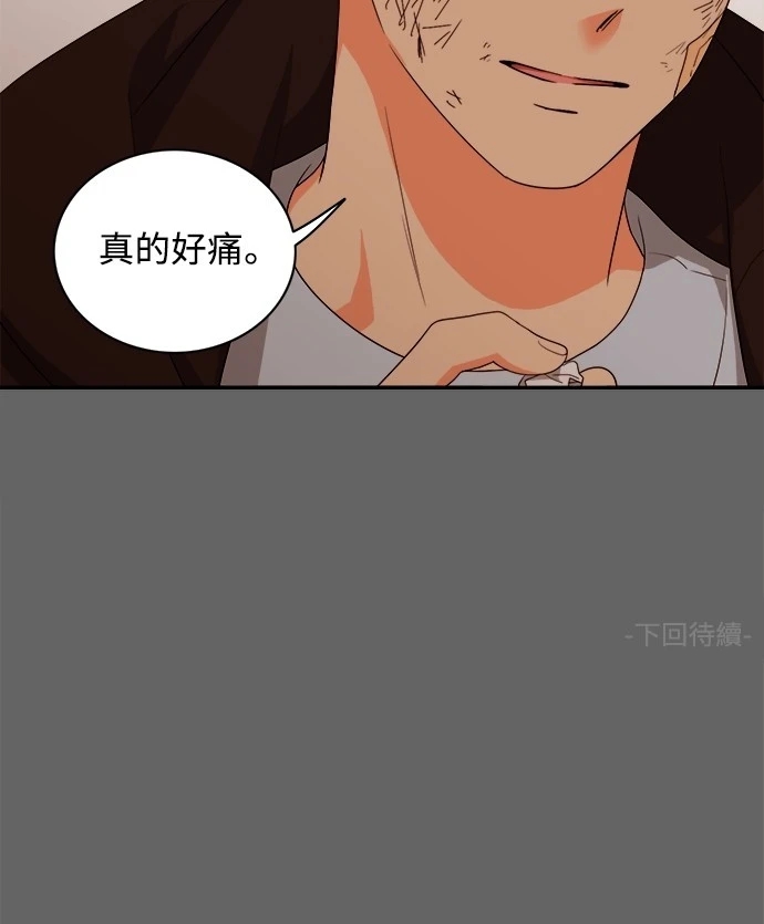 第54张