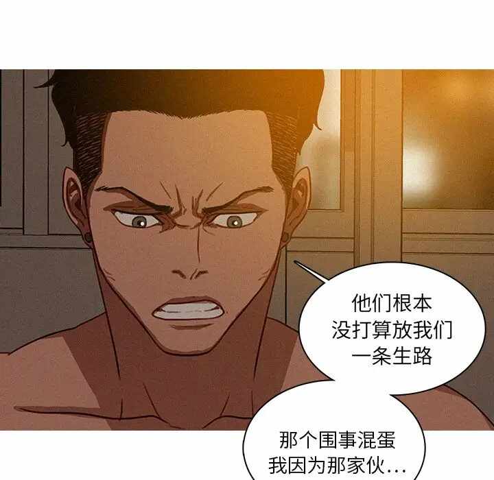第29张