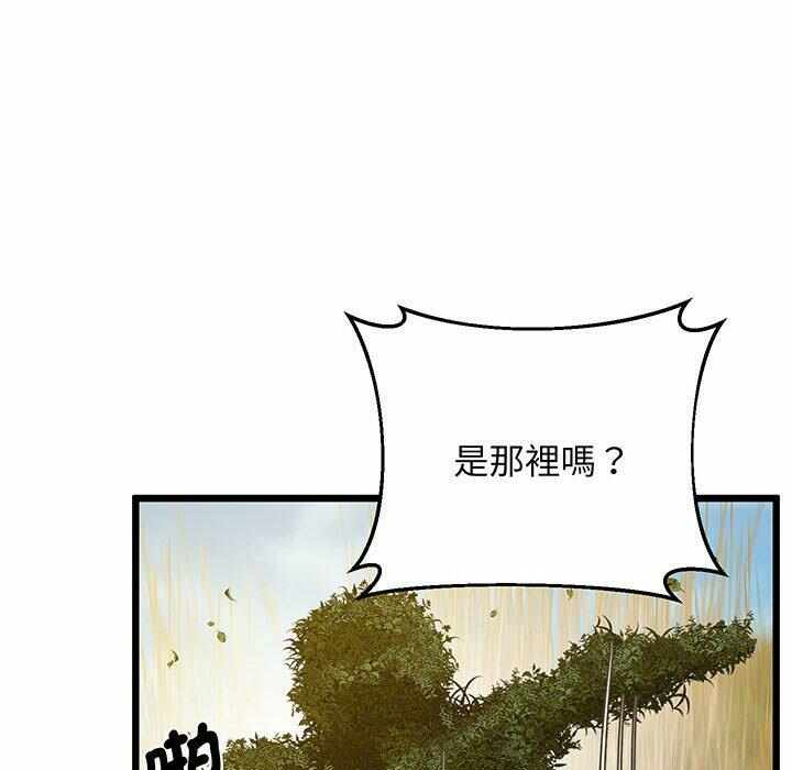 第93张