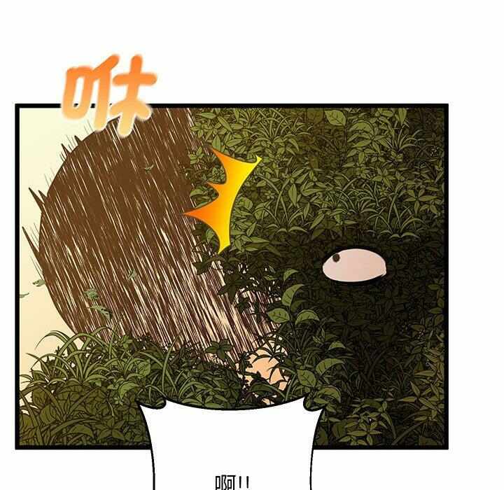 第98张