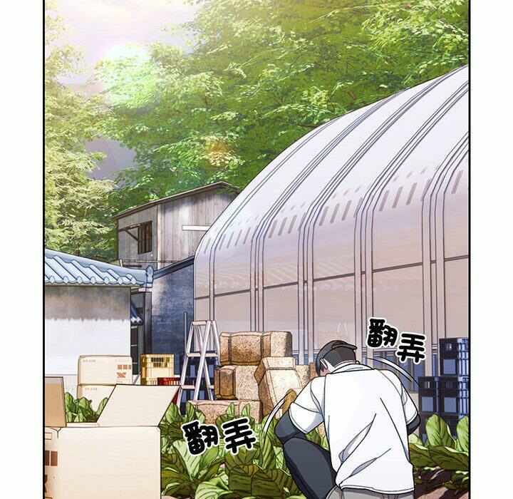 第39张