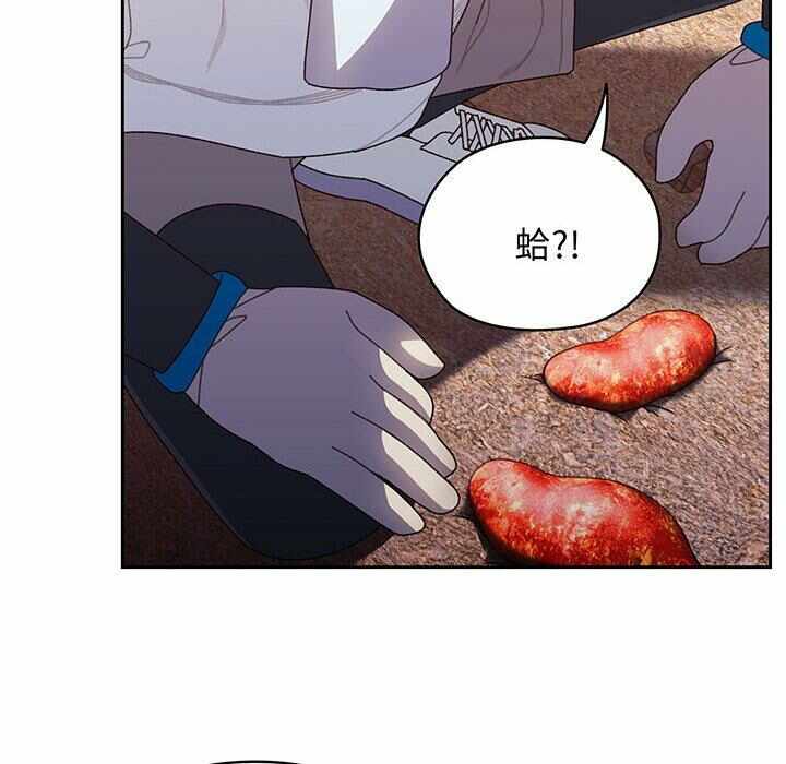 第9张