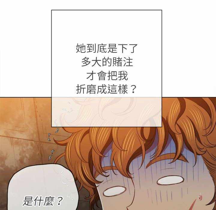 第113张