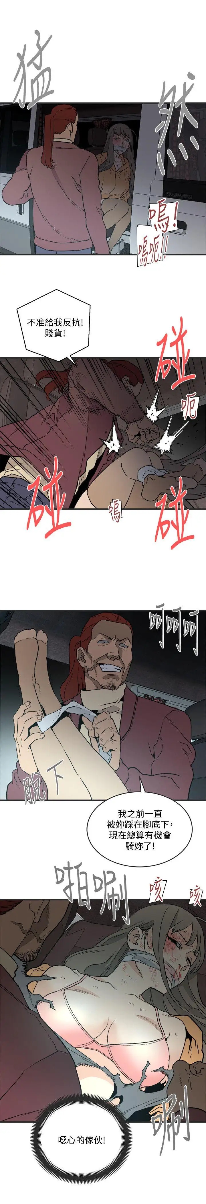 第11张