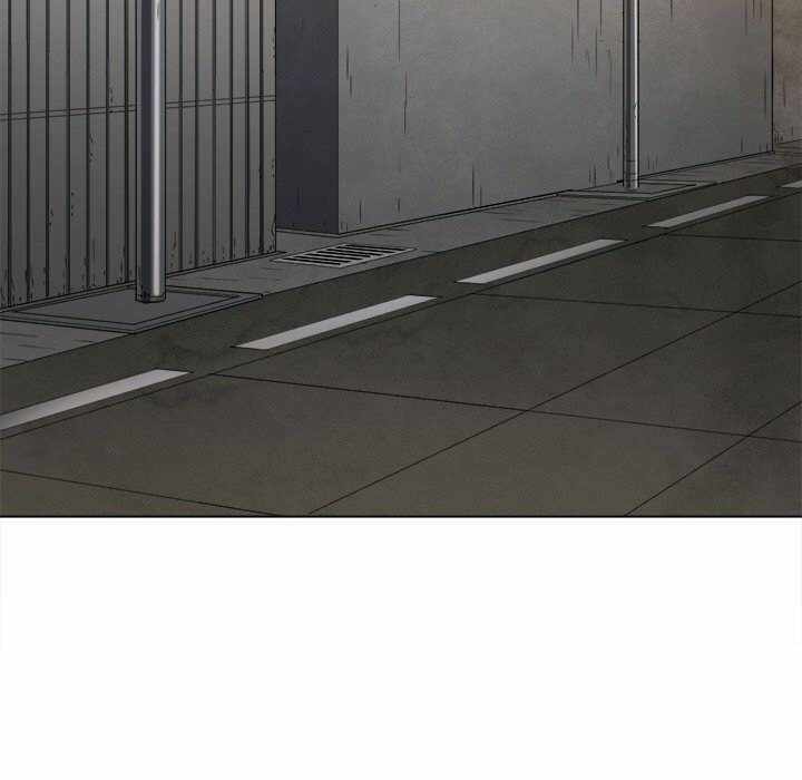 第53张