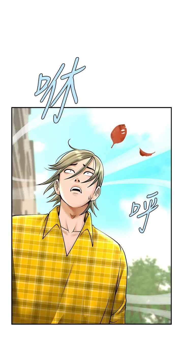 第5张