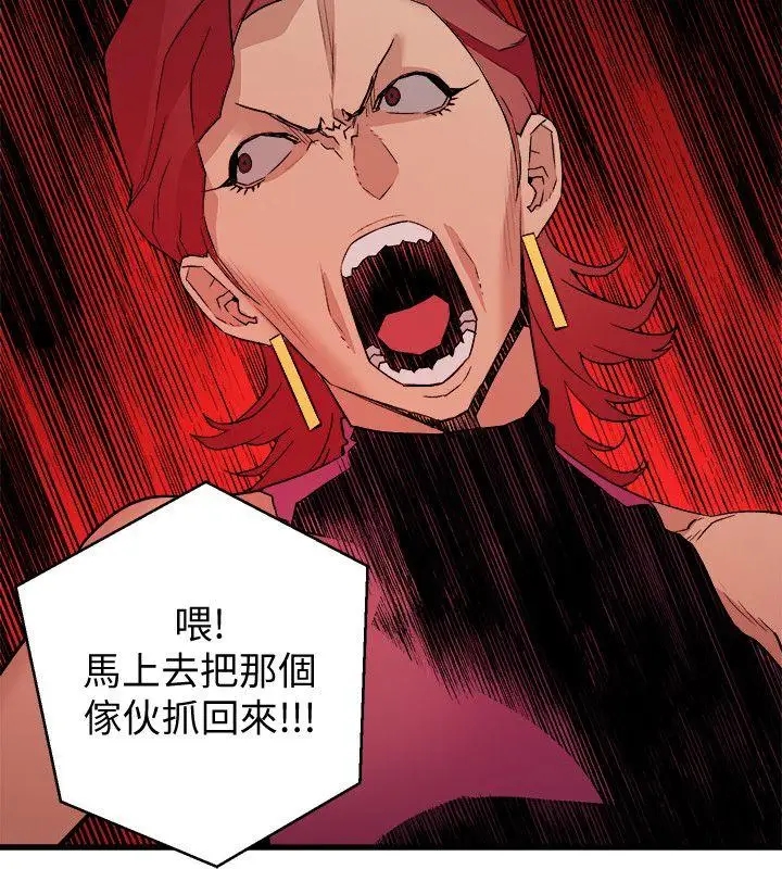 第33张