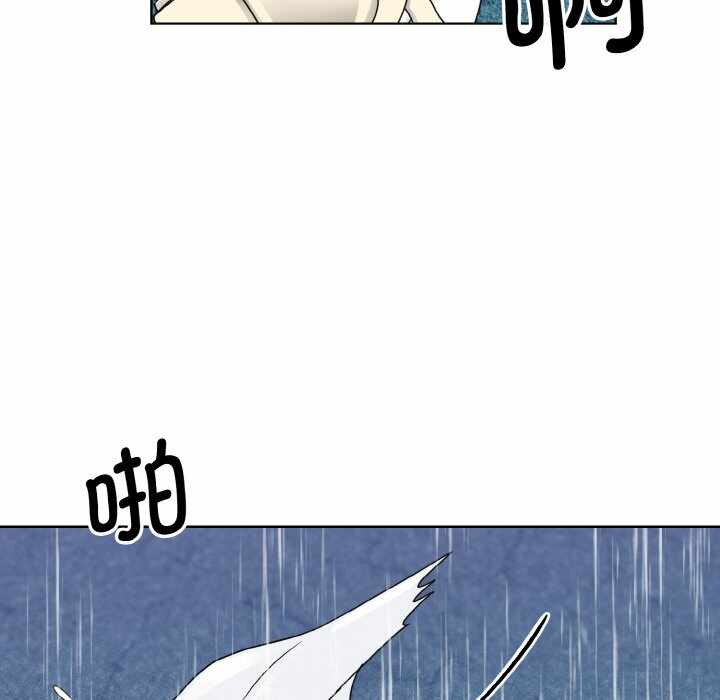 第79张