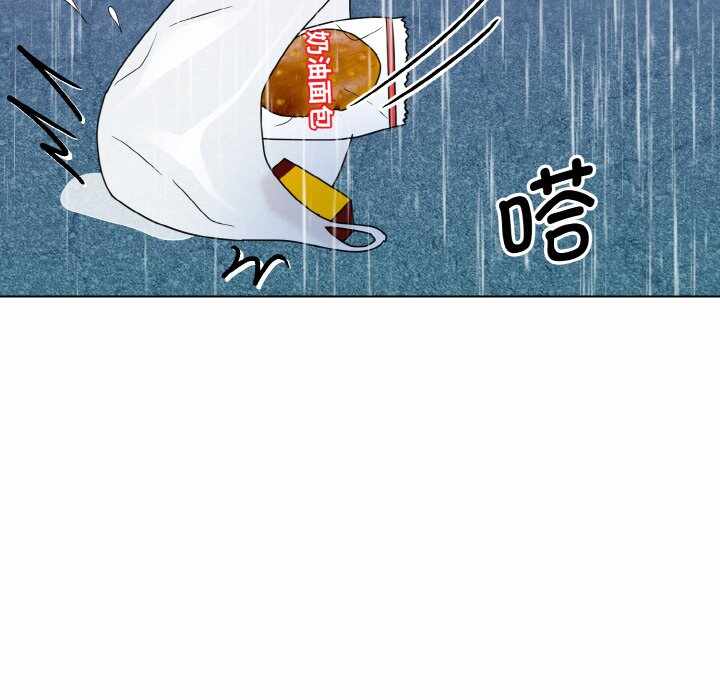 第81张