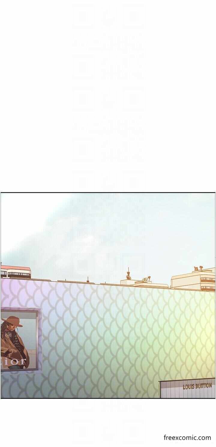第32张