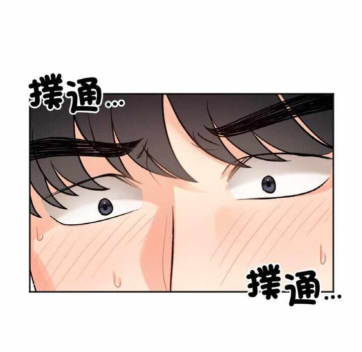 第84张