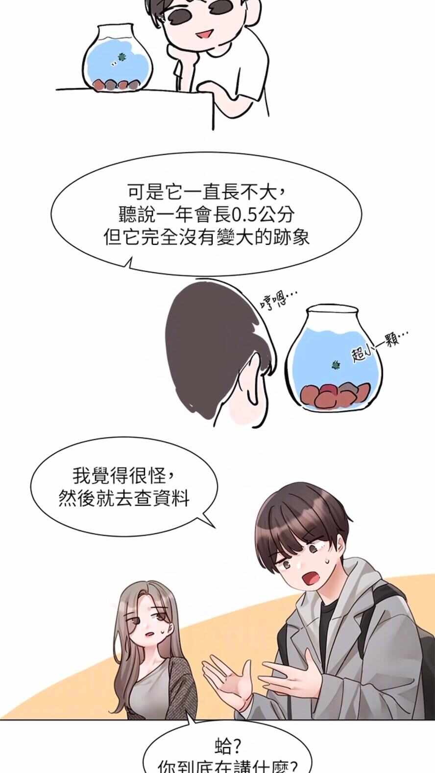 第46张