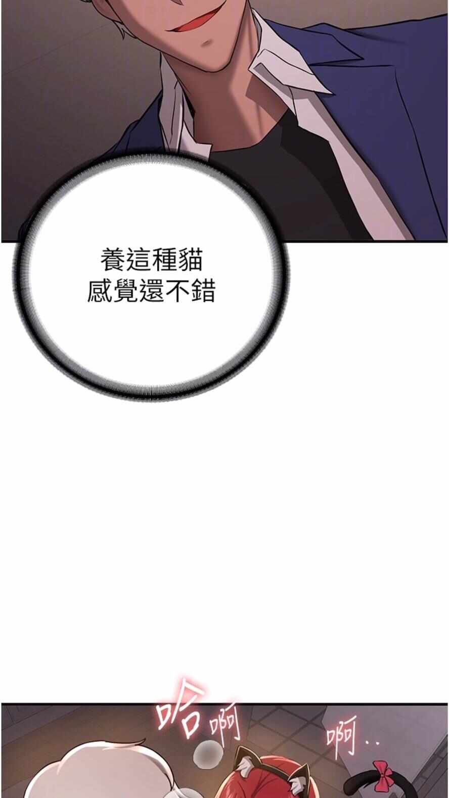 第66张
