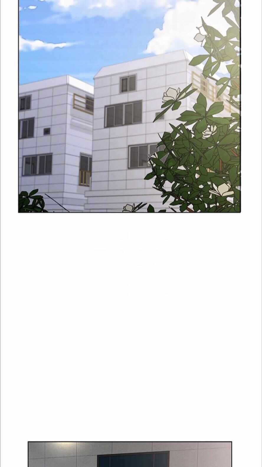 第31张