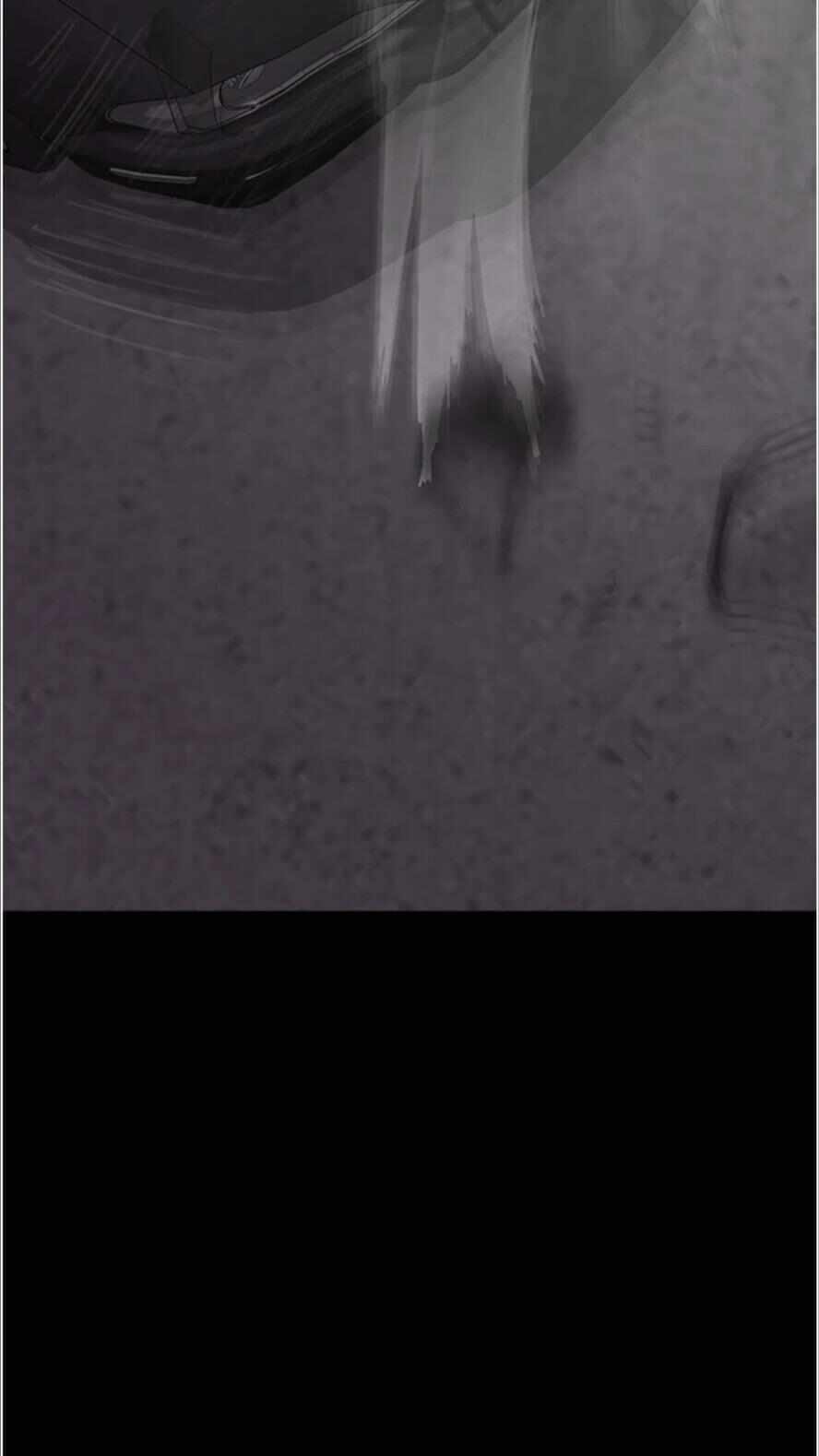 第53张