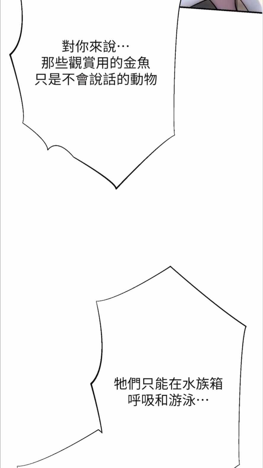 第54张