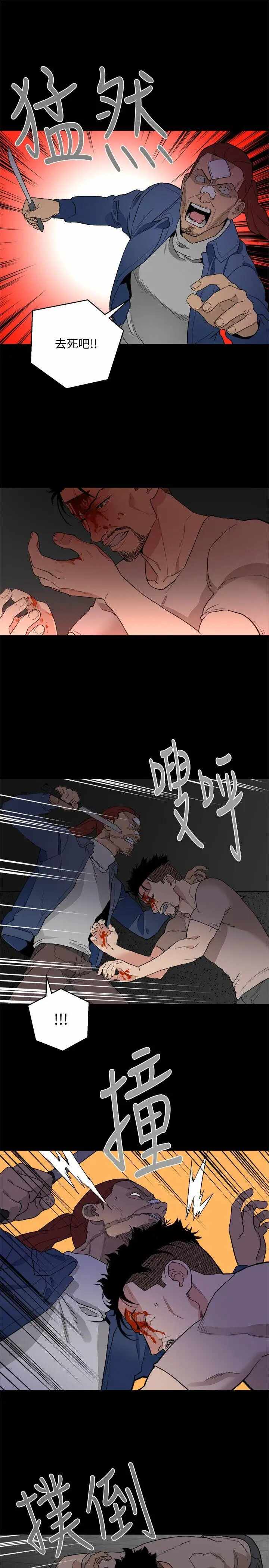 第9张