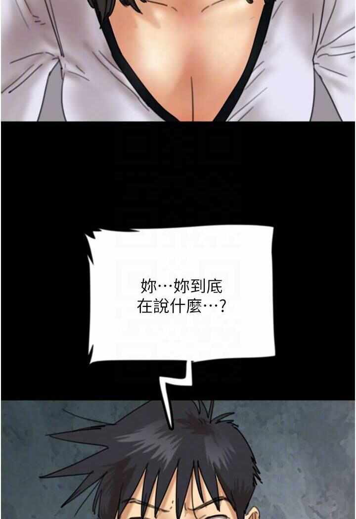 第43张