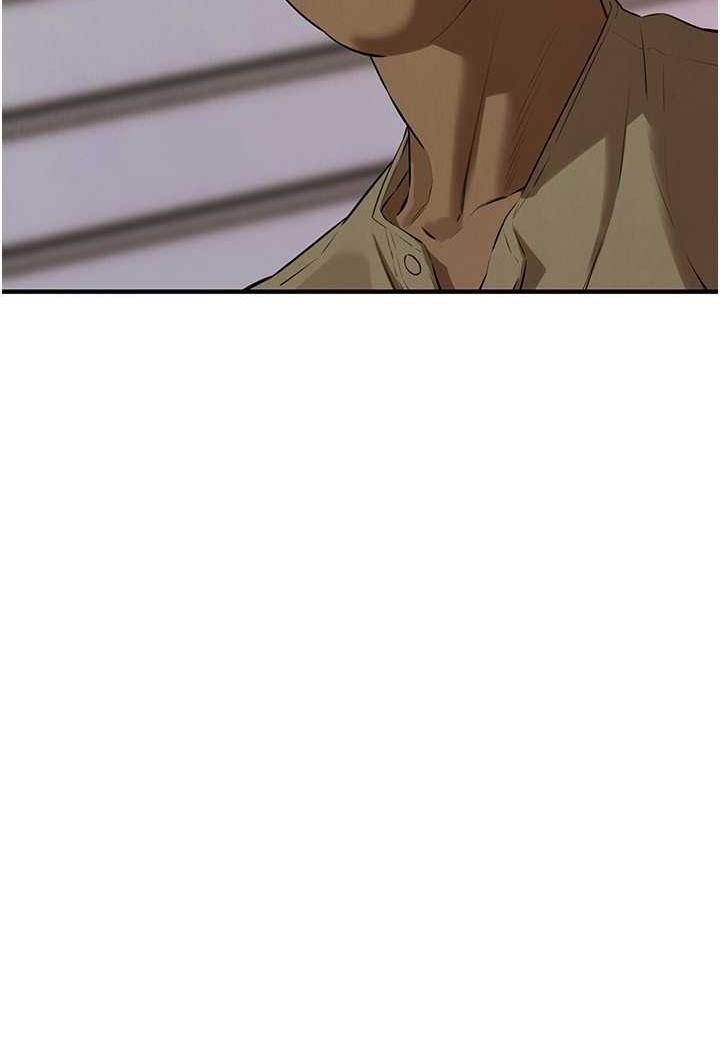 第3张