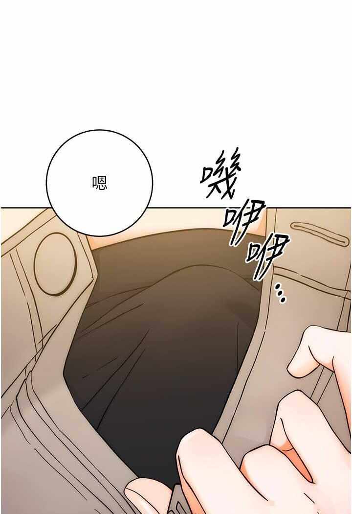 第42张