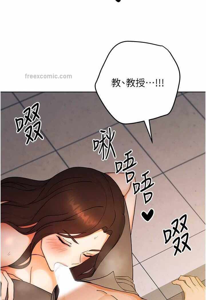 第66张