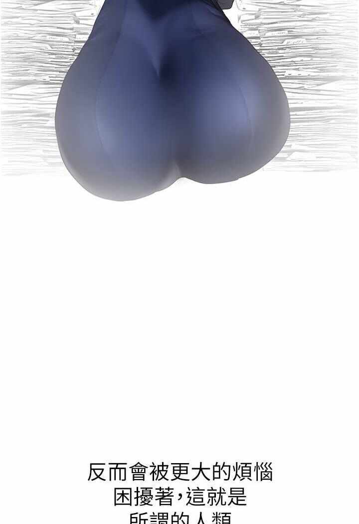 第46张