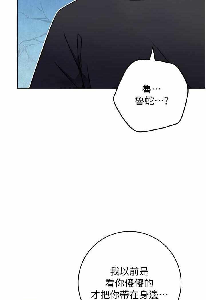 第47张