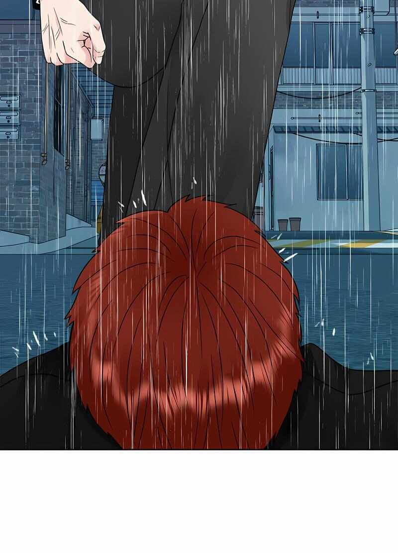 第55张