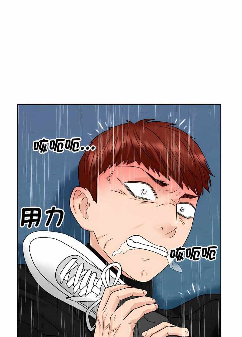 第56张