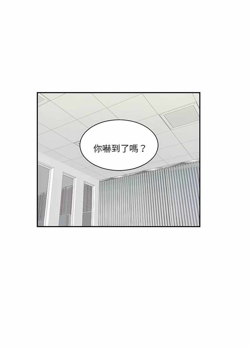 第42张