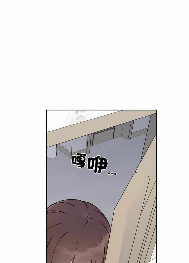 第55张