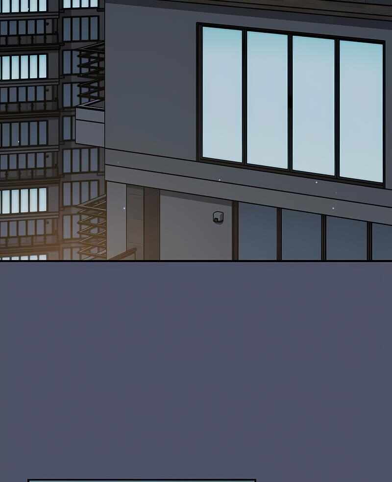 第6张