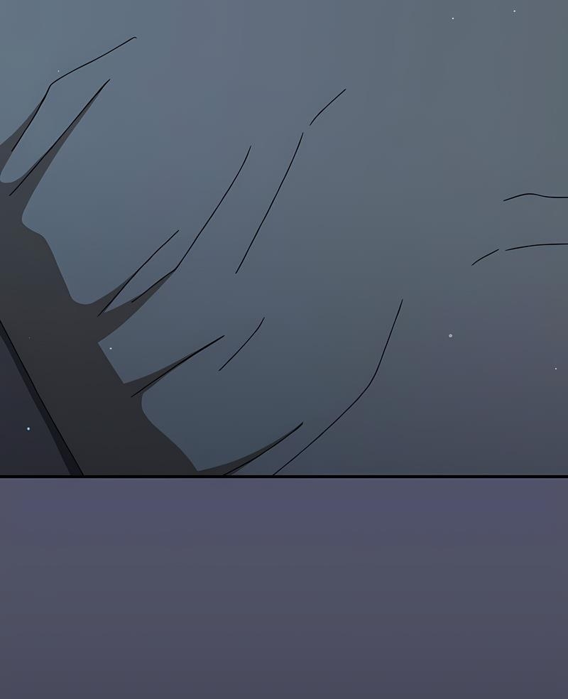 第11张