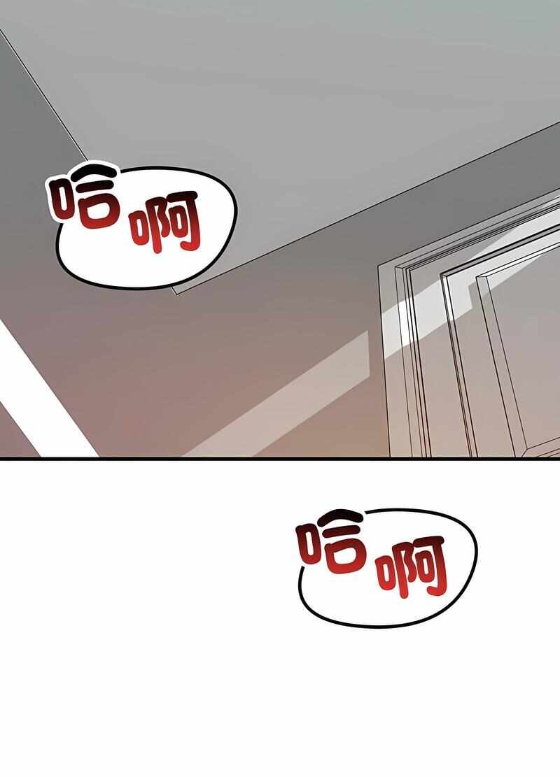 第66张
