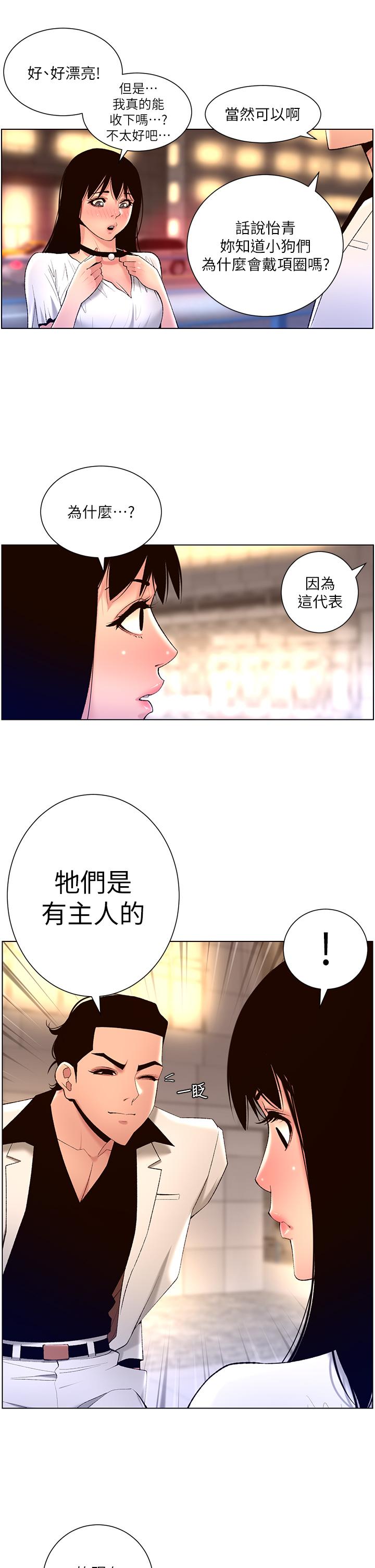 第22张