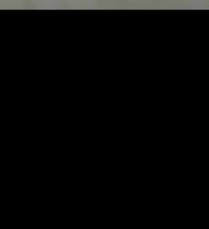 第33张