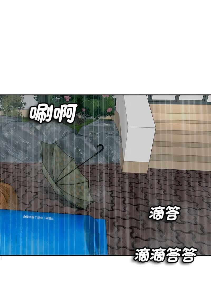 第3张