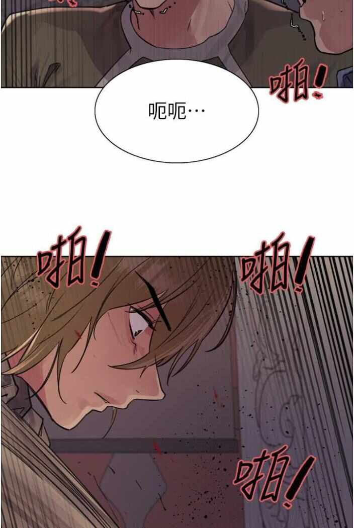 第51张